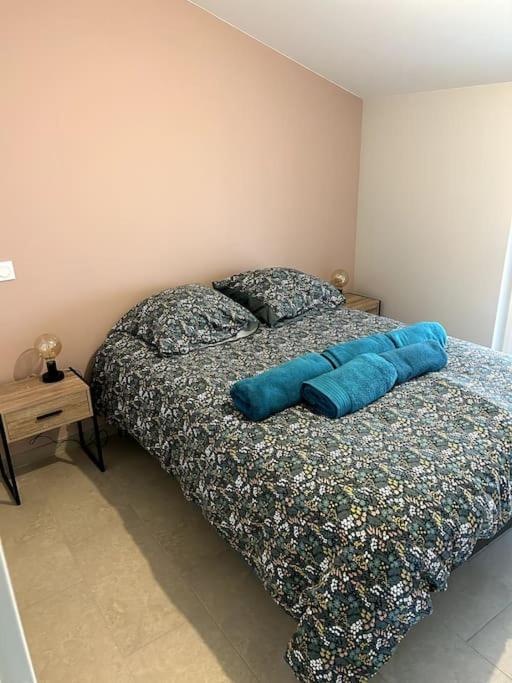 Le Cosy Grenier De Pauline Et Flo Apartment Cessenon-sur-Orb Bagian luar foto