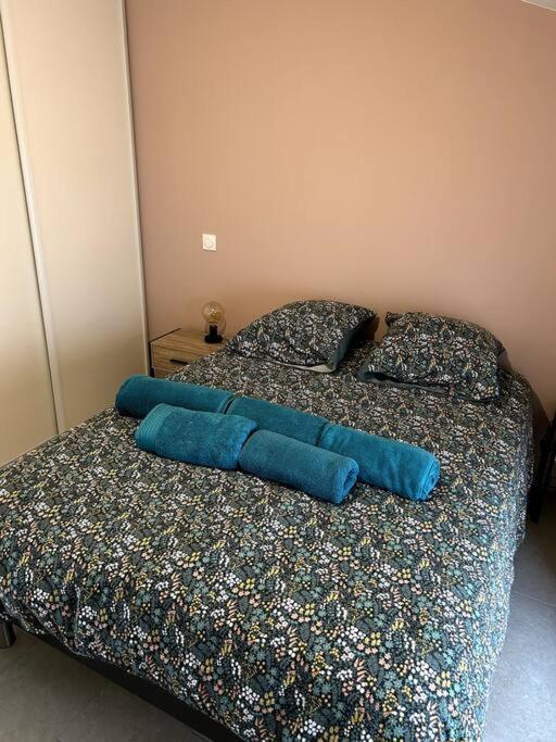 Le Cosy Grenier De Pauline Et Flo Apartment Cessenon-sur-Orb Bagian luar foto